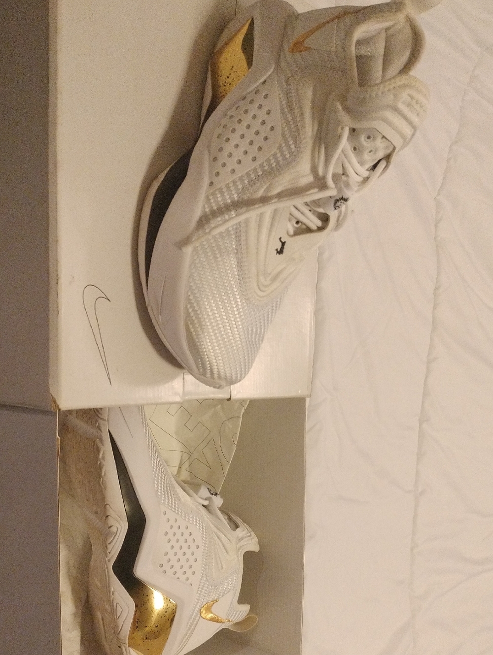 LeBron Nike Shoes